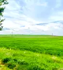 Парцел в с. Мрамор