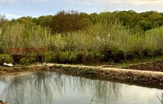 Парцел в Хасково, с. Мрамор