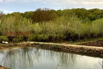 Парцел в Хасково, с. Мрамор