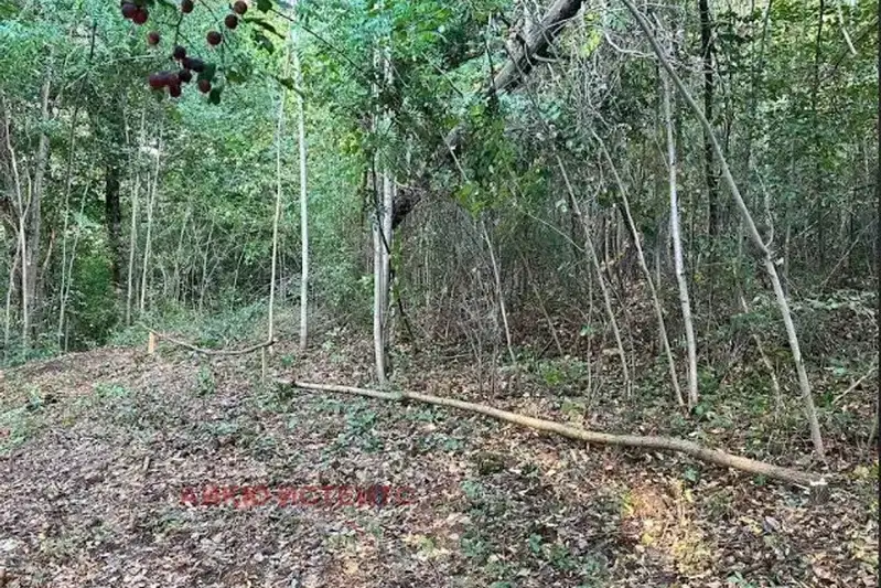 Парцел в с. Мърчаево