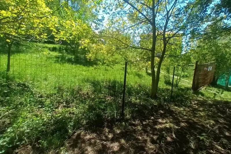 Plot in Myrchaevo