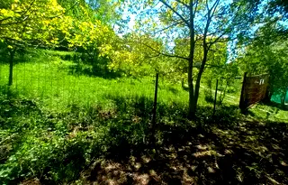 Парцел в с. Мърчаево