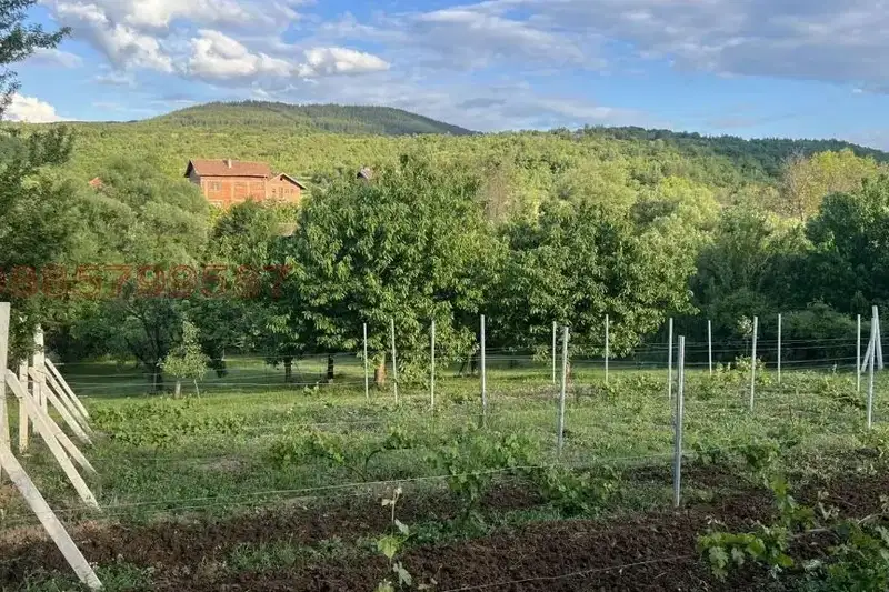 Plot in Oblast Kyustendil, Myrvodol