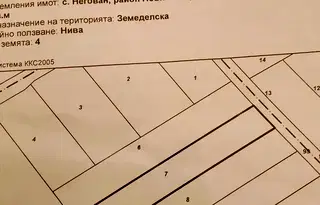 Парцел в с. Негован