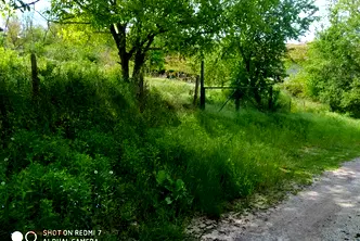 Парцел в Русе, с. Нисово