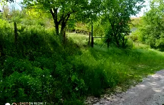 Парцел в Русе, с. Нисово