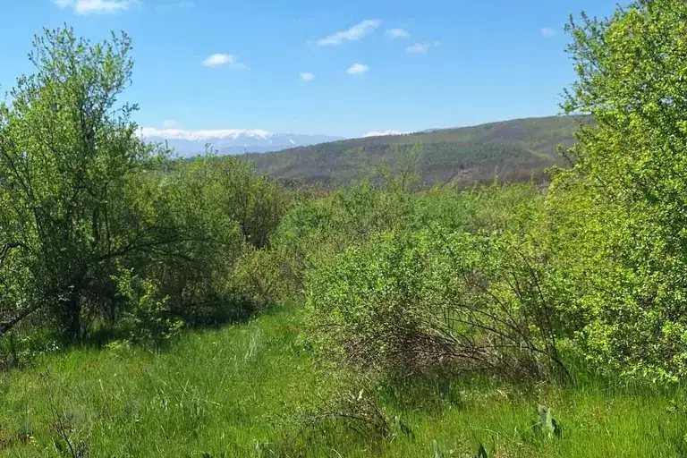Plot in Sofia, Ochusha