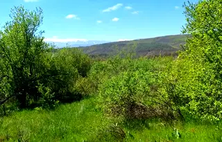 Парцел в София, с. Очуша