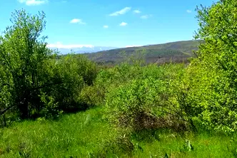 Парцел в София, с. Очуша