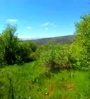 Парцел в София, с. Очуша