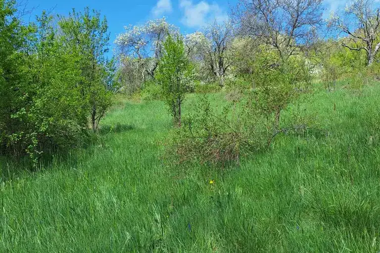 Plot in област София, Ochusha
