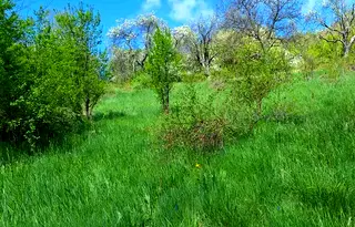 Парцел в София, с. Очуша