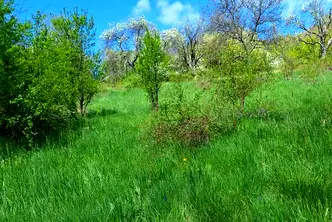 Парцел в София, с. Очуша