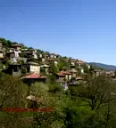 Парцел в Смолян, с. Орехово