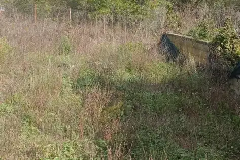 Plot in Oblast Varna, Osenovo
