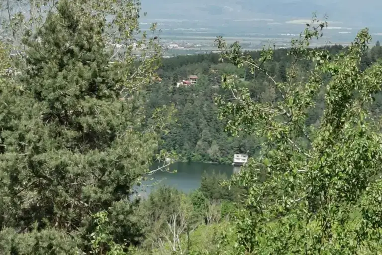 Plot in Pancharevo