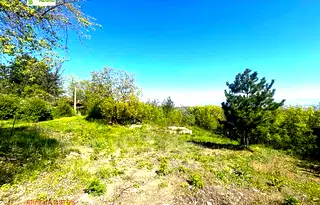 Парцел в с. Панчарево