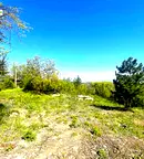 Парцел в с. Панчарево