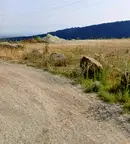 Парцел в с. Панчарево