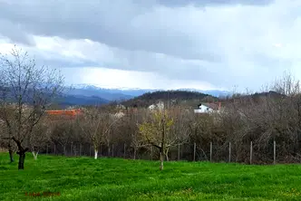 Парцел в Ловеч, с. Патрешко