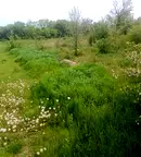 Парцел в Разград, с. Подайва