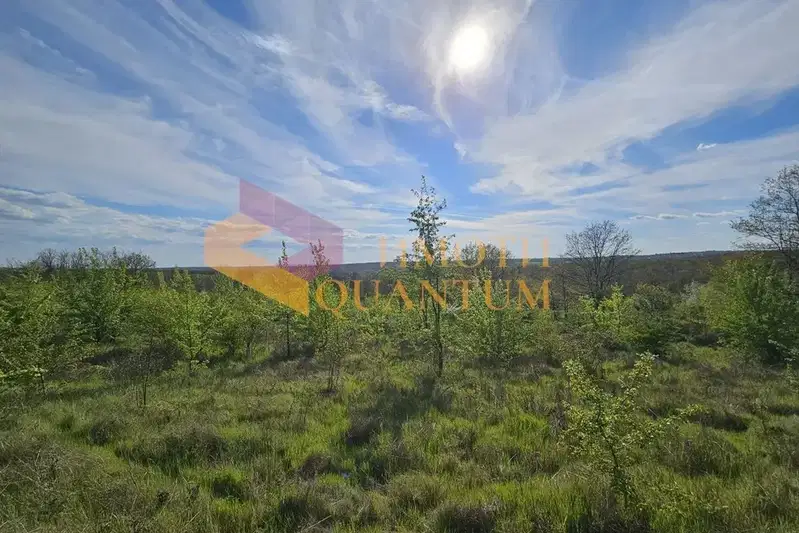 Plot in Oblast Varna, Priselci