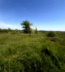 Парцел в Пловдив, с. Първенец