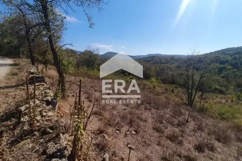 Plot in Oblast Veliko Tyrnovo, с. Радковци
