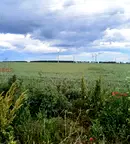 Парцел в Добрич, с. Раковски