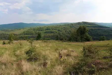Plot in Oblast Burgas, Rakovskovo