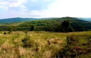 Парцел в Бургас, с. Раковсково