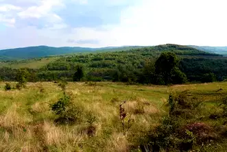 Парцел в Бургас, с. Раковсково