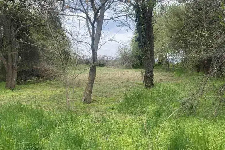 Plot in Oblast Pernik, Rejanci