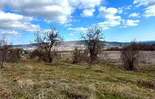 Парцел в Добрич, с. Рогачево
