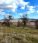 Парцел в Добрич, с. Рогачево