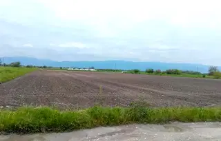 Парцел в Пловдив, с. Рогош