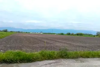 Парцел в Пловдив, с. Рогош
