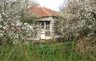 Парцел в Добрич, с. Сенокос