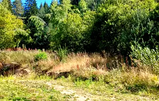 Парцел в Пловдив, с. Ситово