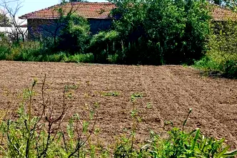 Парцел в Пловдив, с. Скутаре