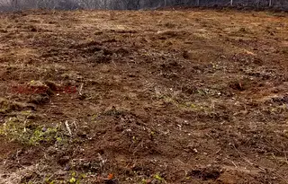 Парцел в Кюстендил, с. Соволяно