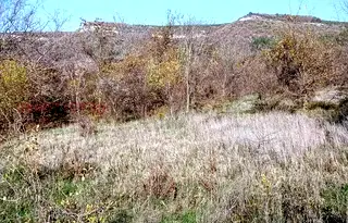 Парцел в Шумен, с. Средня