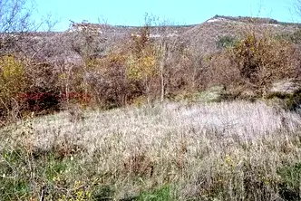 Парцел в Шумен, с. Средня