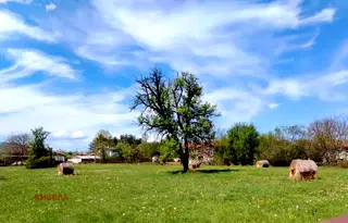 Парцел в Ловеч, с. Стефаново