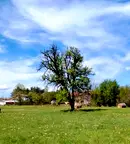 Парцел в Ловеч, с. Стефаново