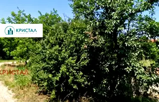 Парцел в Пловдив, с. Стряма