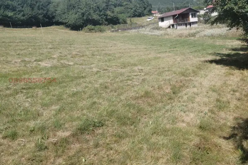 Plot in Sofia, Svidnya