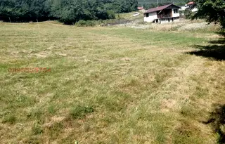 Парцел в София, с. Свидня