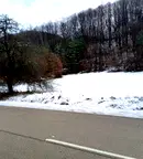 Парцел в Ловеч, с. Терзийско