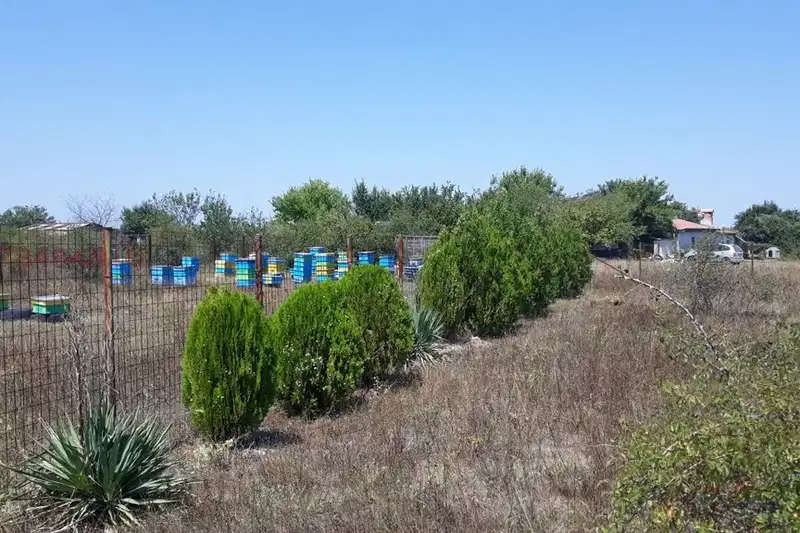 Парцел в Добрич, с. Топола